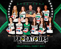 Volleyball Cadet Fém. D4-1